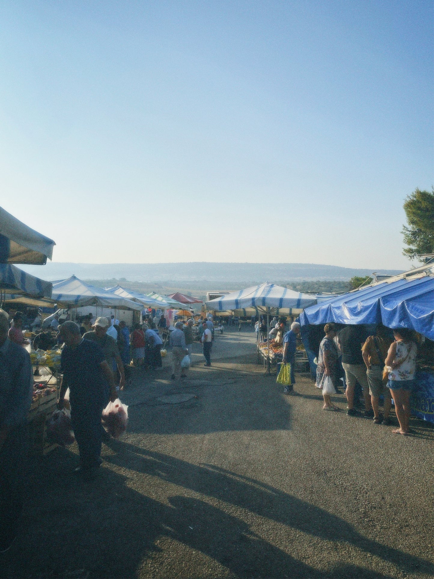 Print "Mercato della frutta"